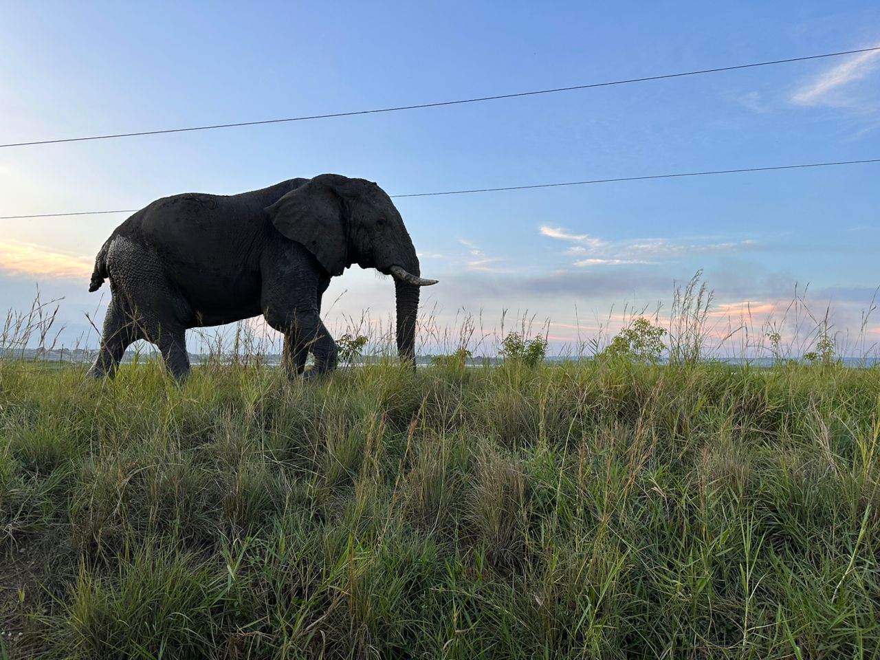 Murchison Falls National Park