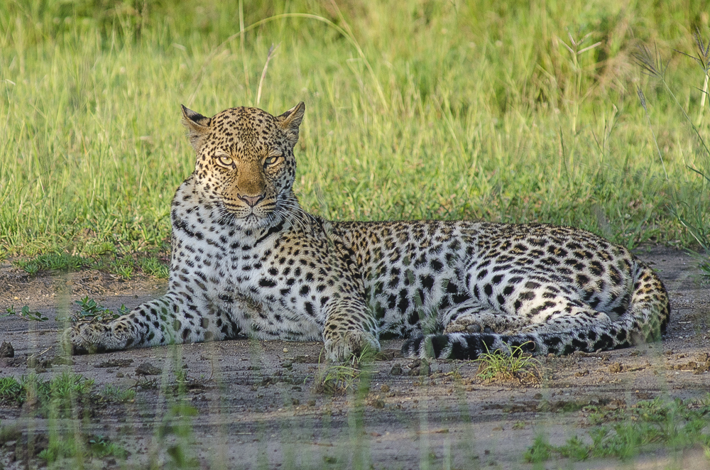 Kidepo valley National park