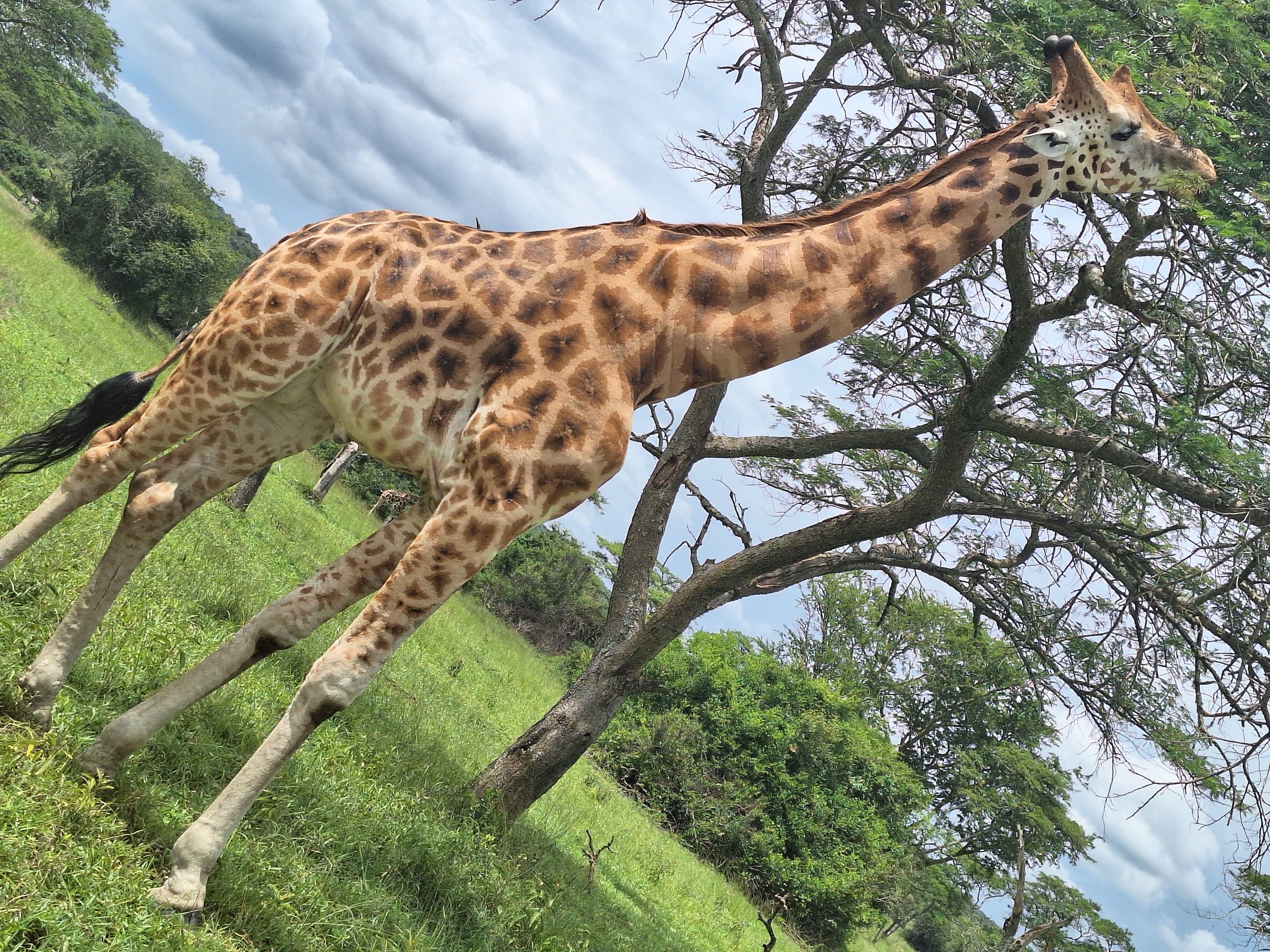 Top 10 things to Do in Uganda.