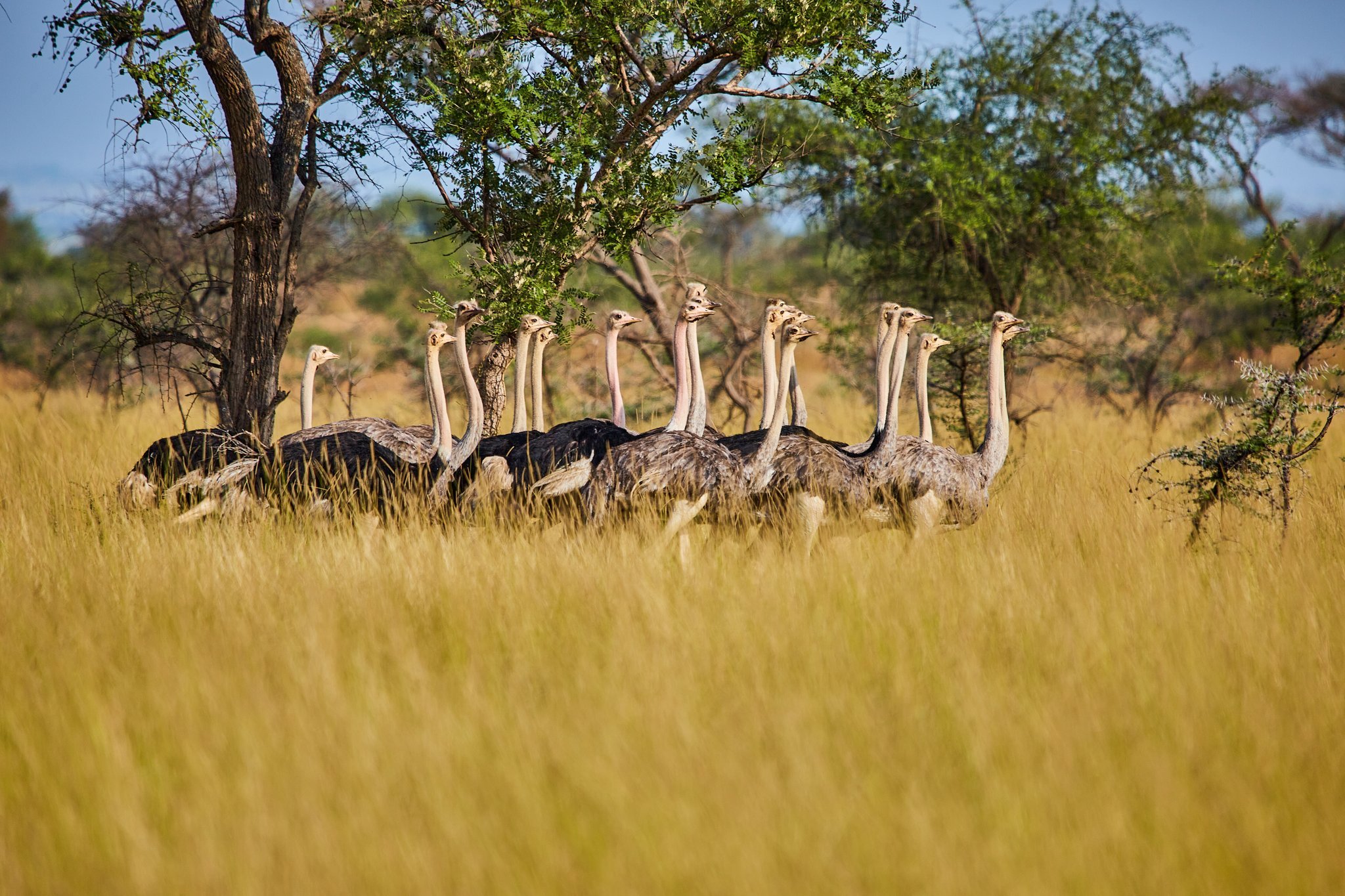 Kidepo valley national Park