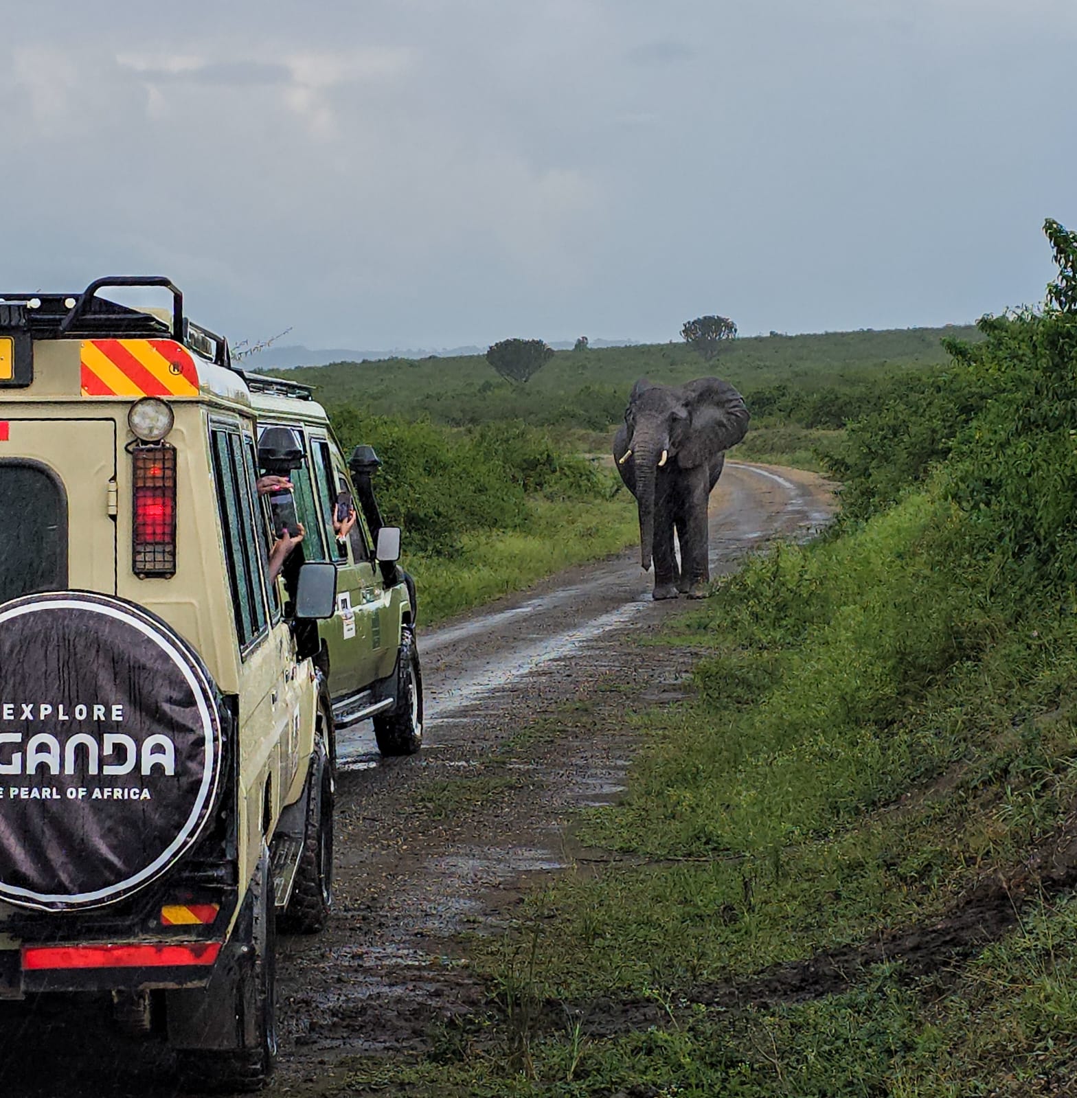 Self driving Safaris