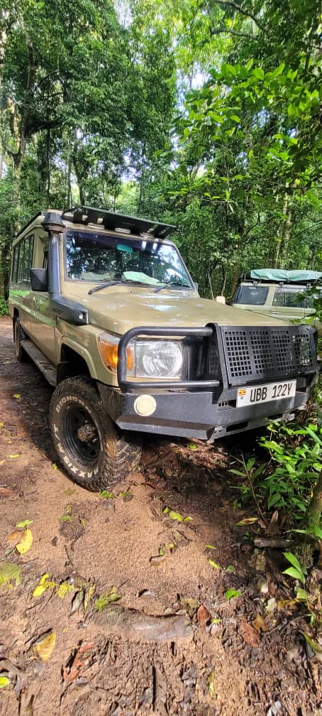 Our Safari Jeeps