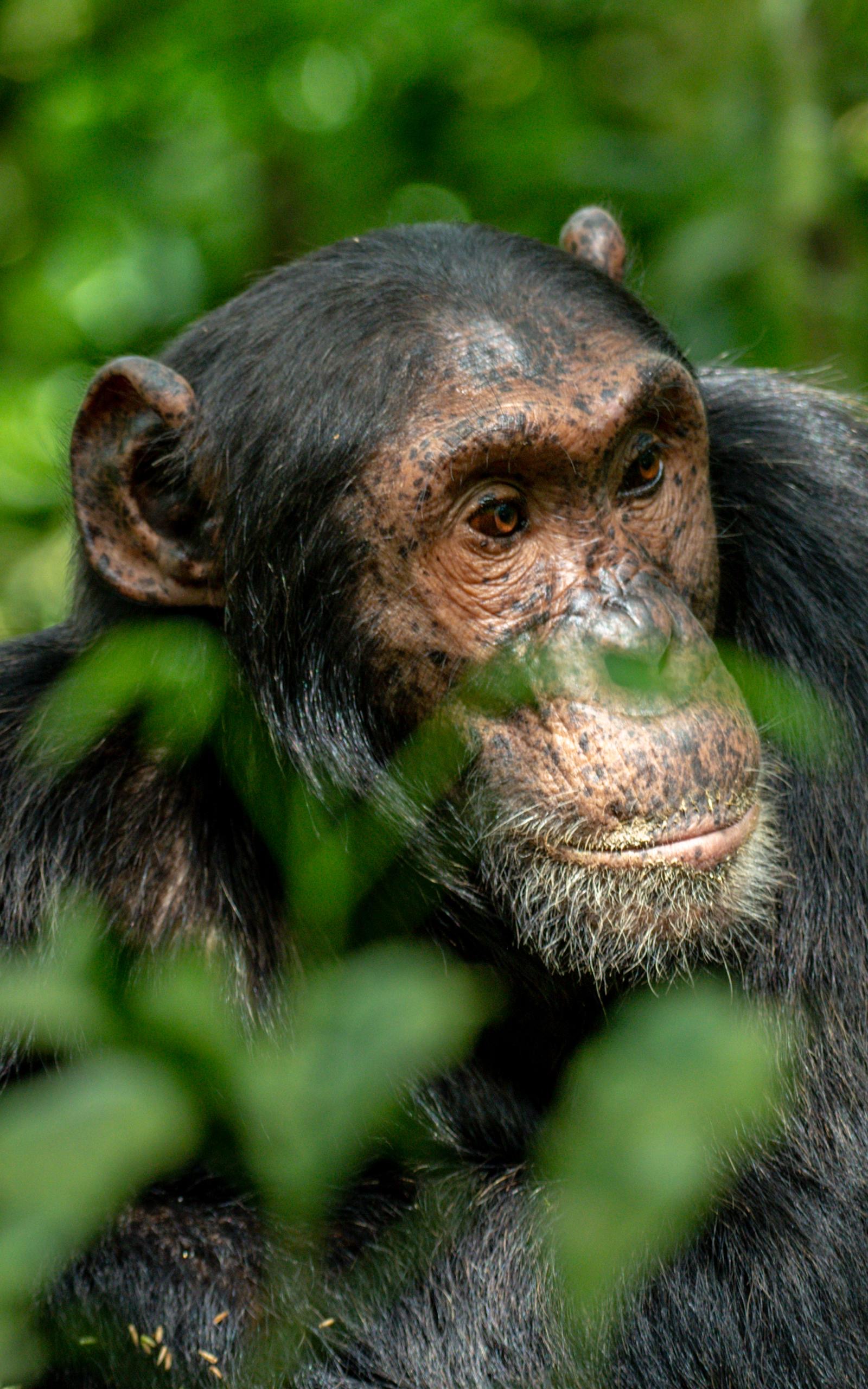 Kibale National Park