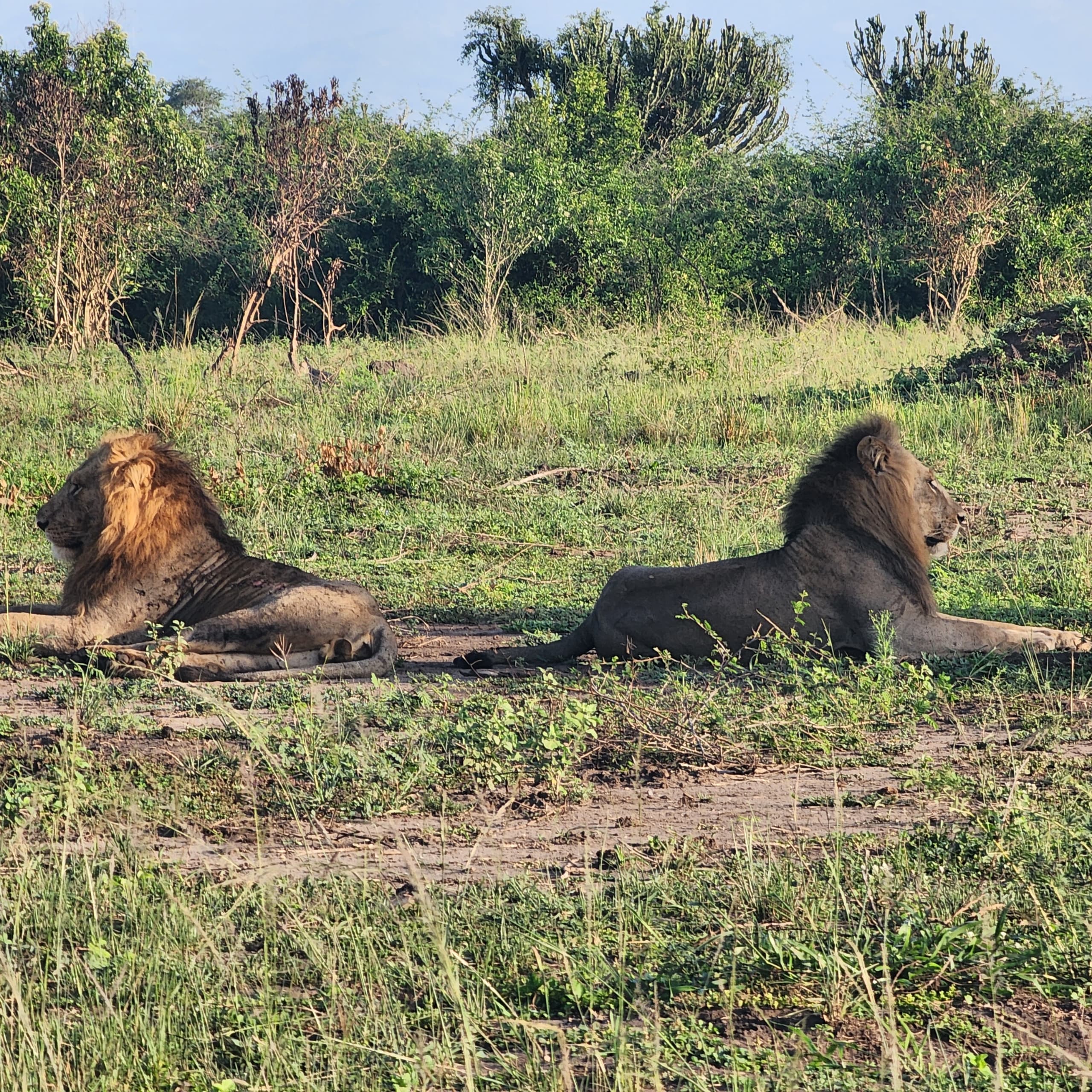 Queen Elizabeth National Park uganda 